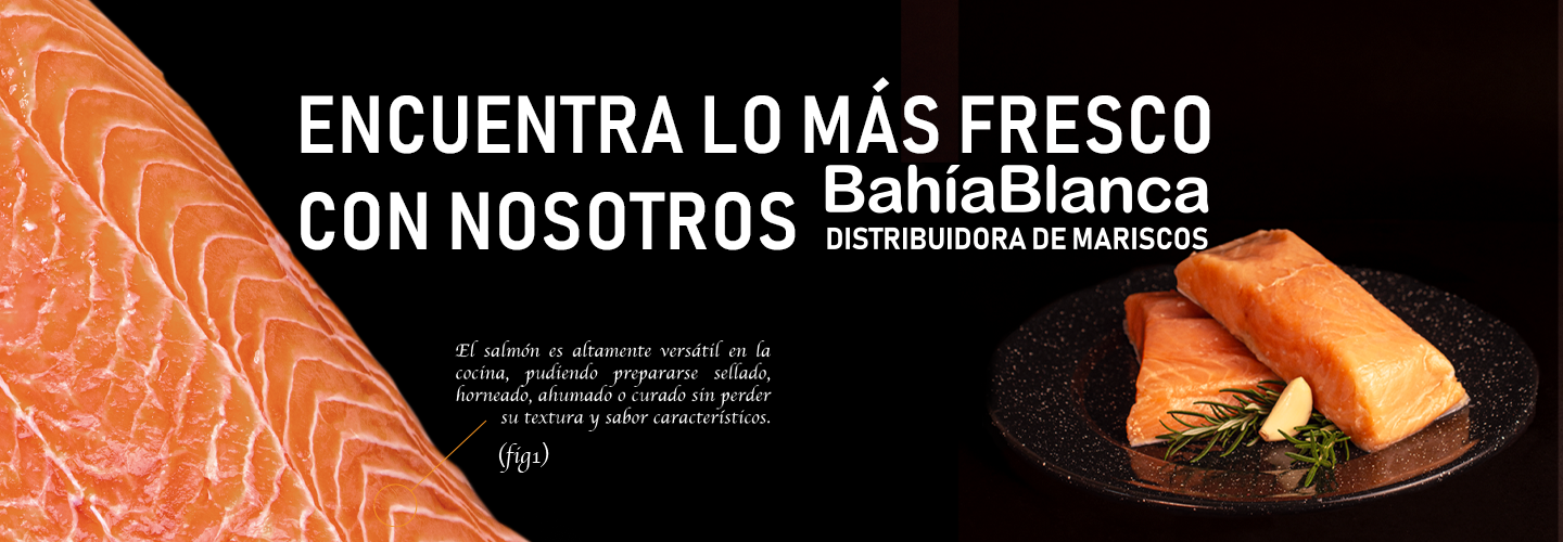 header_web_02png