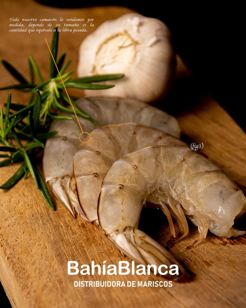 bahiablanca_pescaderia_1757979692_3722525928057717675_37943096469