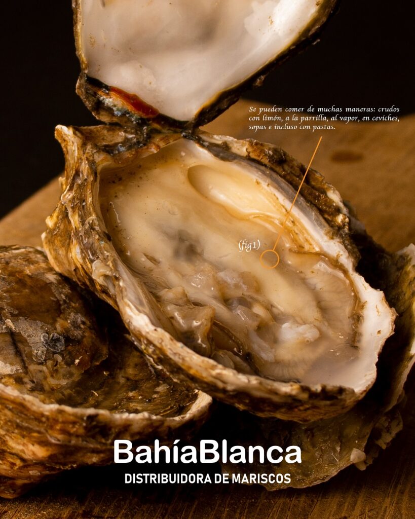 bahiablanca_pescaderia_1760740774_3745687556253000305_37943096469