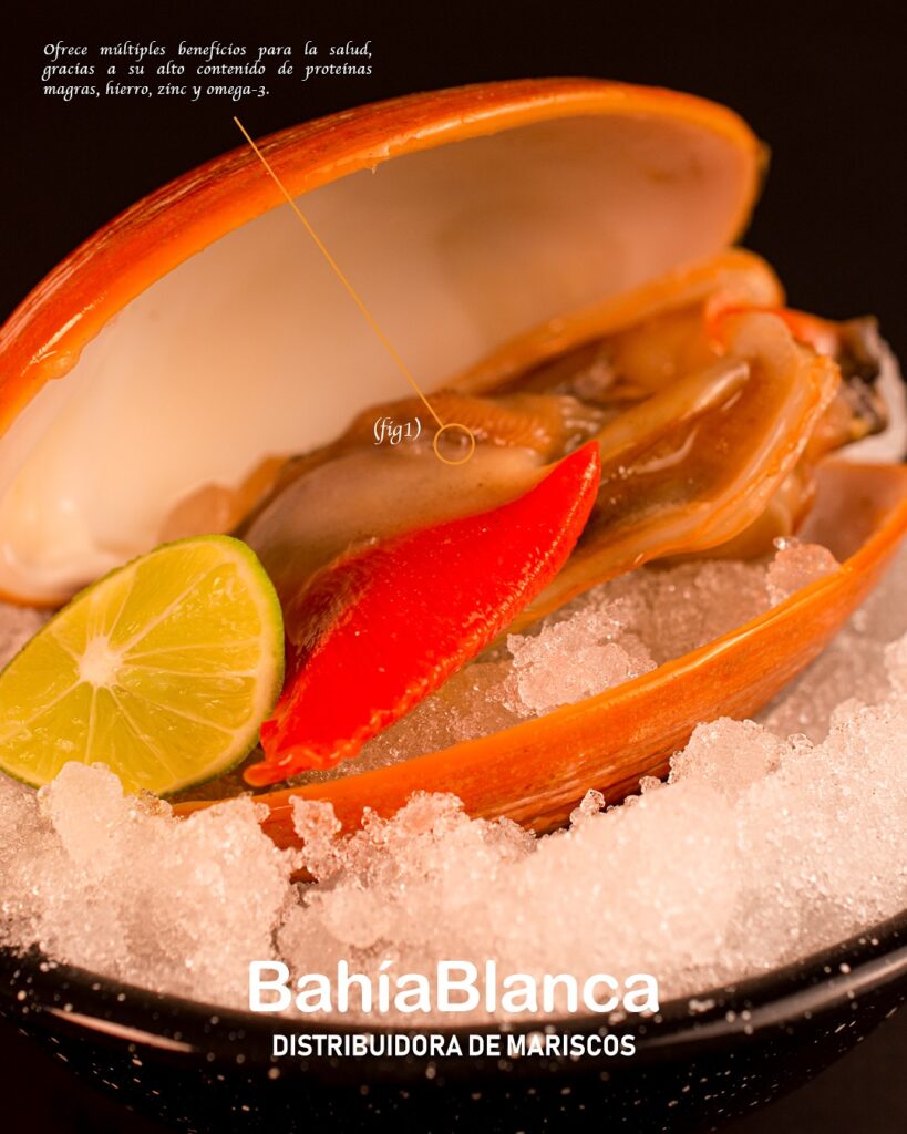 bahiablanca_pescaderia_1762027043_3756477567458063630_37943096469