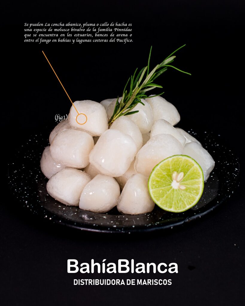 bahiablanca_pescaderia_1763078894_3765301131007207350_37943096469